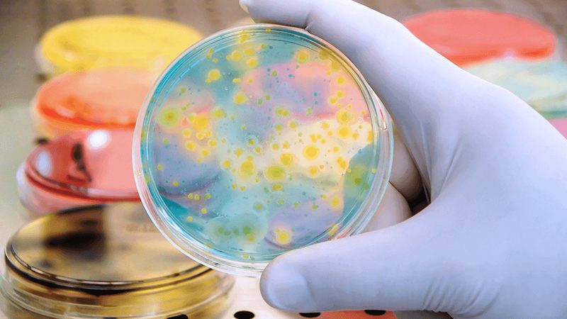 CDMO定制研发合同：揭秘合同要点与关键考量