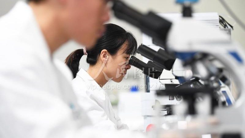 第三方诊断试剂代工工厂：揭秘其背后的工艺与选择要点**