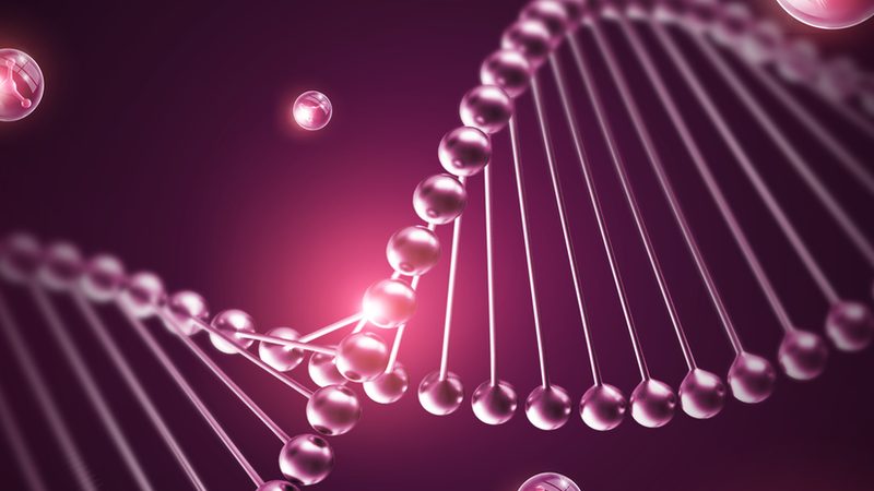 生物科技实验设备，如何甄别批发价格背后的价值？**