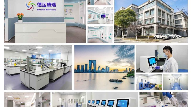 CDMO与CMO：揭秘两者价格差异背后的秘密
