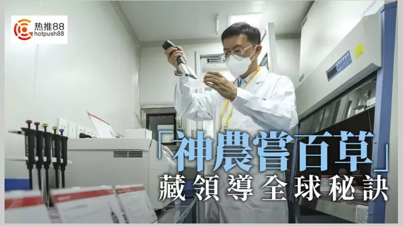 PCR检测灵敏度对比实验：关键步骤解析与要点