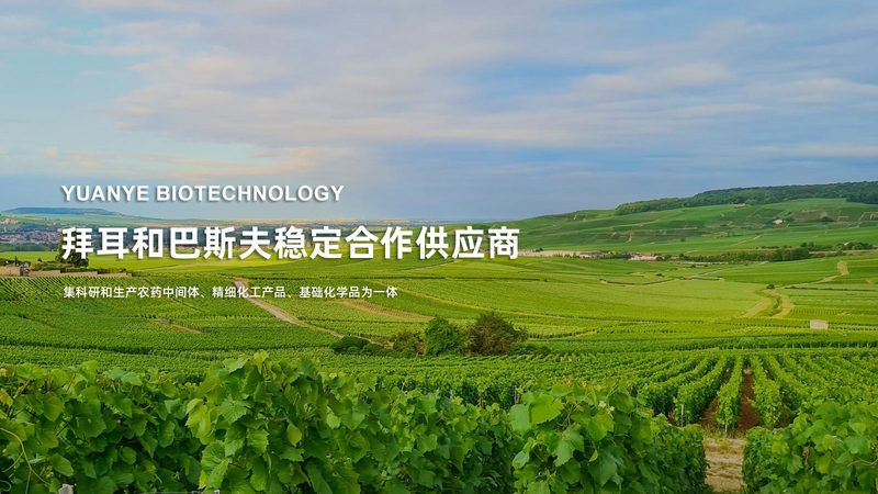 微量移液器：精准科研的得力助手**