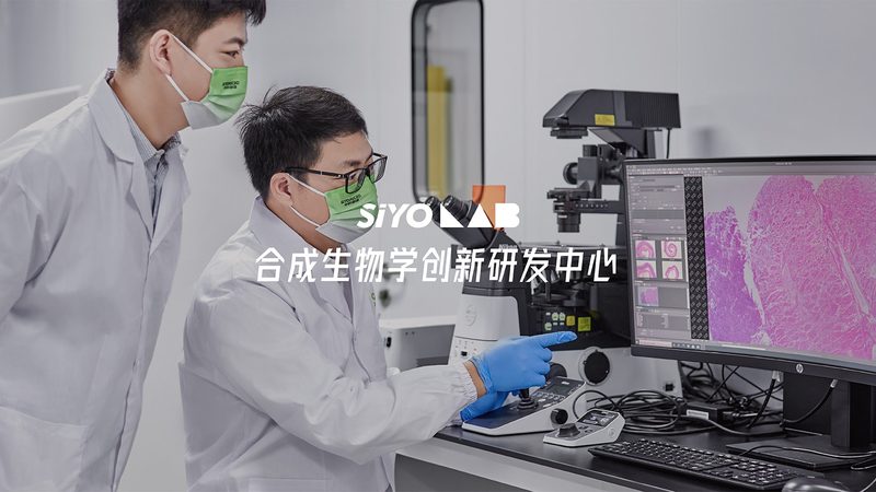 PCR检测试剂盒：如何确保其稳定性和有效性？**
