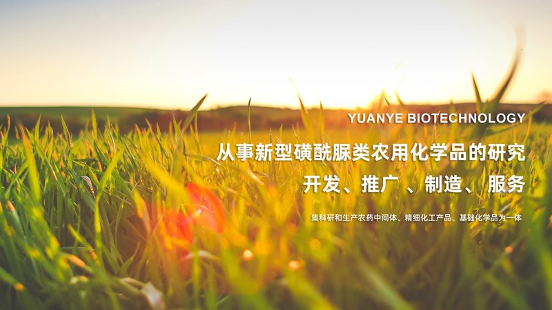 CHO细胞培养基：研发过程中的关键因素**