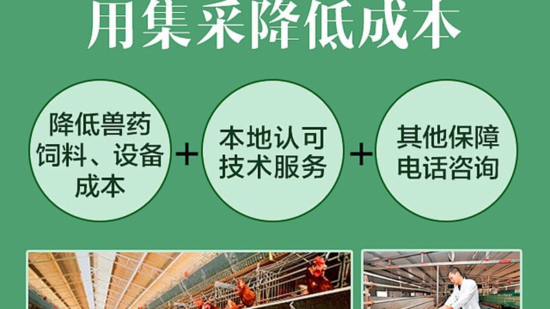 实验玻璃器皿选型：如何精准匹配实验需求