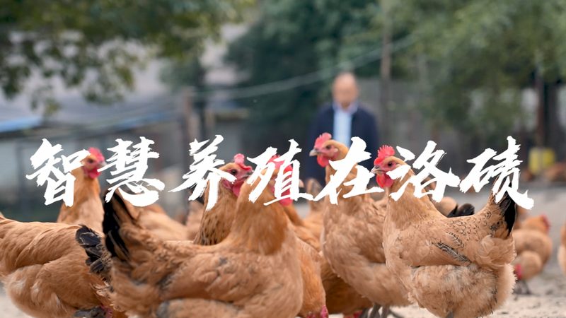 以下是一些在成都市场上口碑较好的实验室耗材厂家：