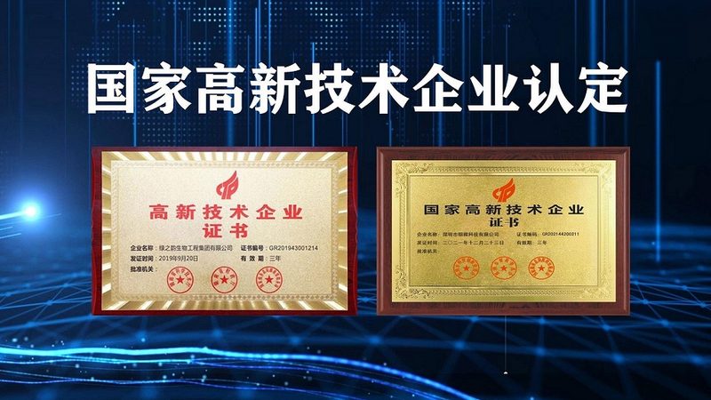 CDMO完整报价流程：揭秘医药研发的“幕后英雄