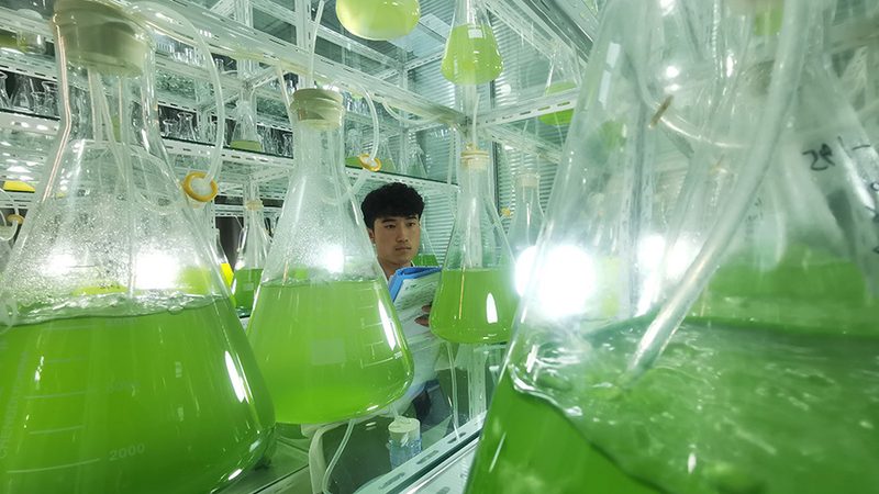 生物制品GMP认证：周期揭秘与影响因素
